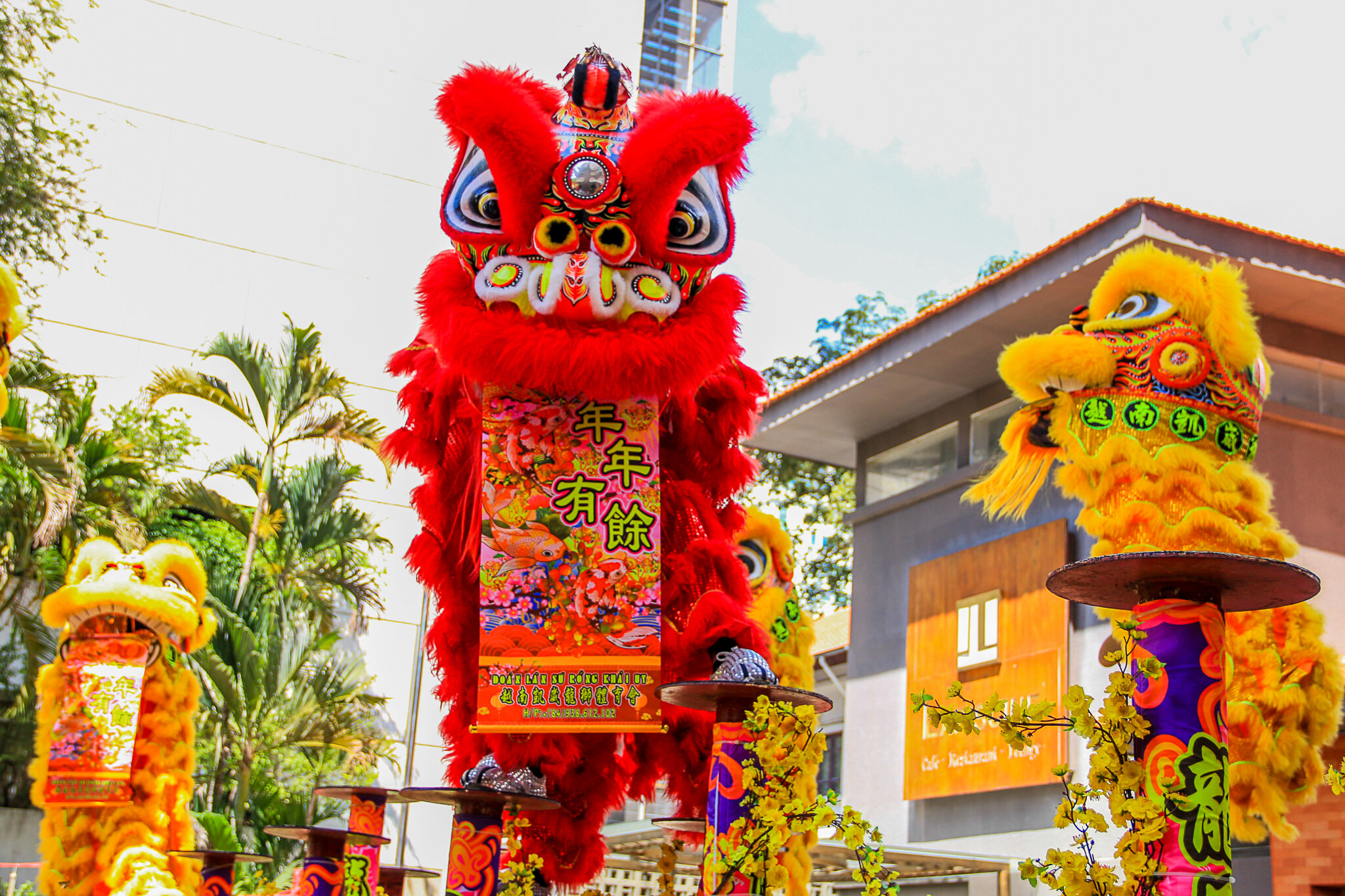 Cho Thuê Múa Lân Sư Rồng 6